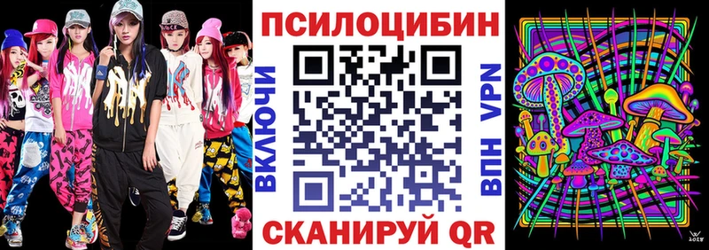 Псилоцибиновые грибы Psilocybe  Бирюч 