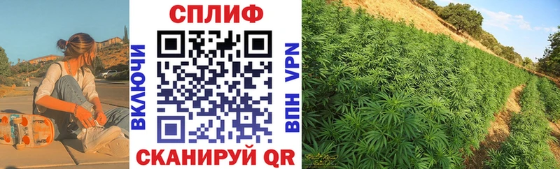 наркотики  Бирюч  Марихуана тримм 